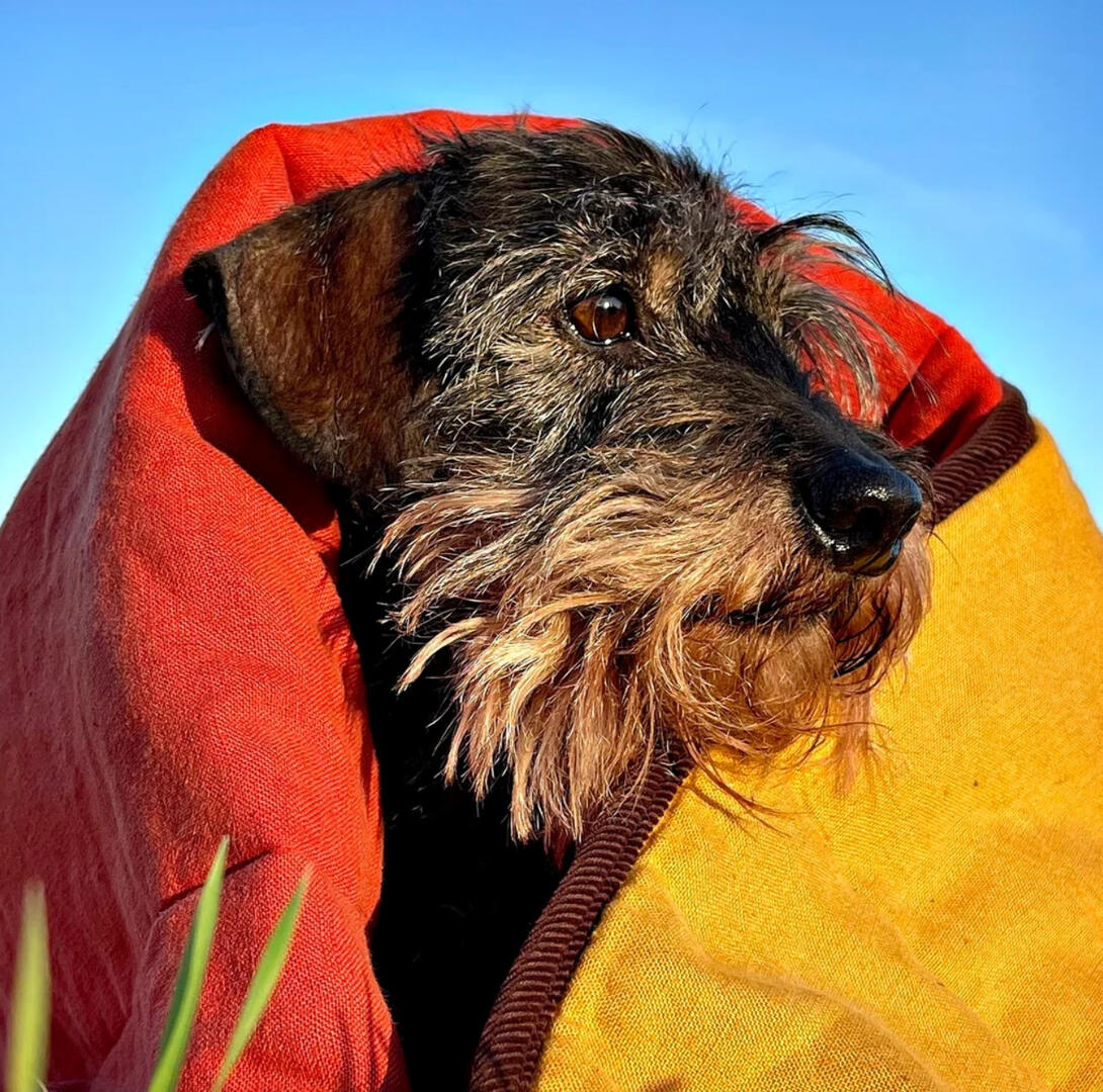 Lish London - Padbury Linen Saffron Orange &amp; Turmeric Yellow Luxury Quilted Reversible Dog Blanket