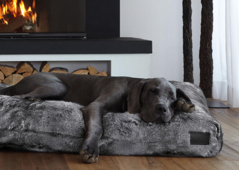 Dog Bed Miacara