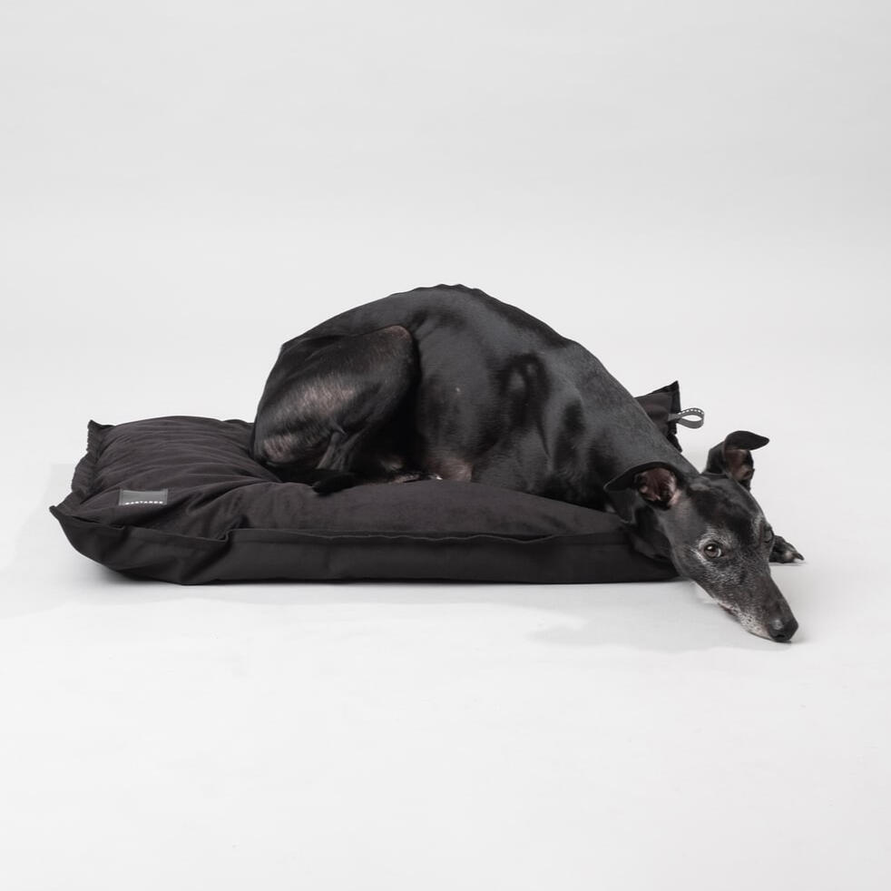 Bastards Plush Velvet Dog Bed