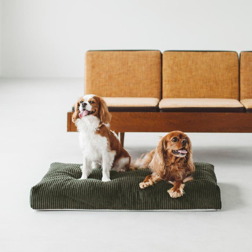 Free Stitch - Corduroy Square Dog Bed