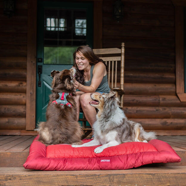 Loft Wander Dog Bed