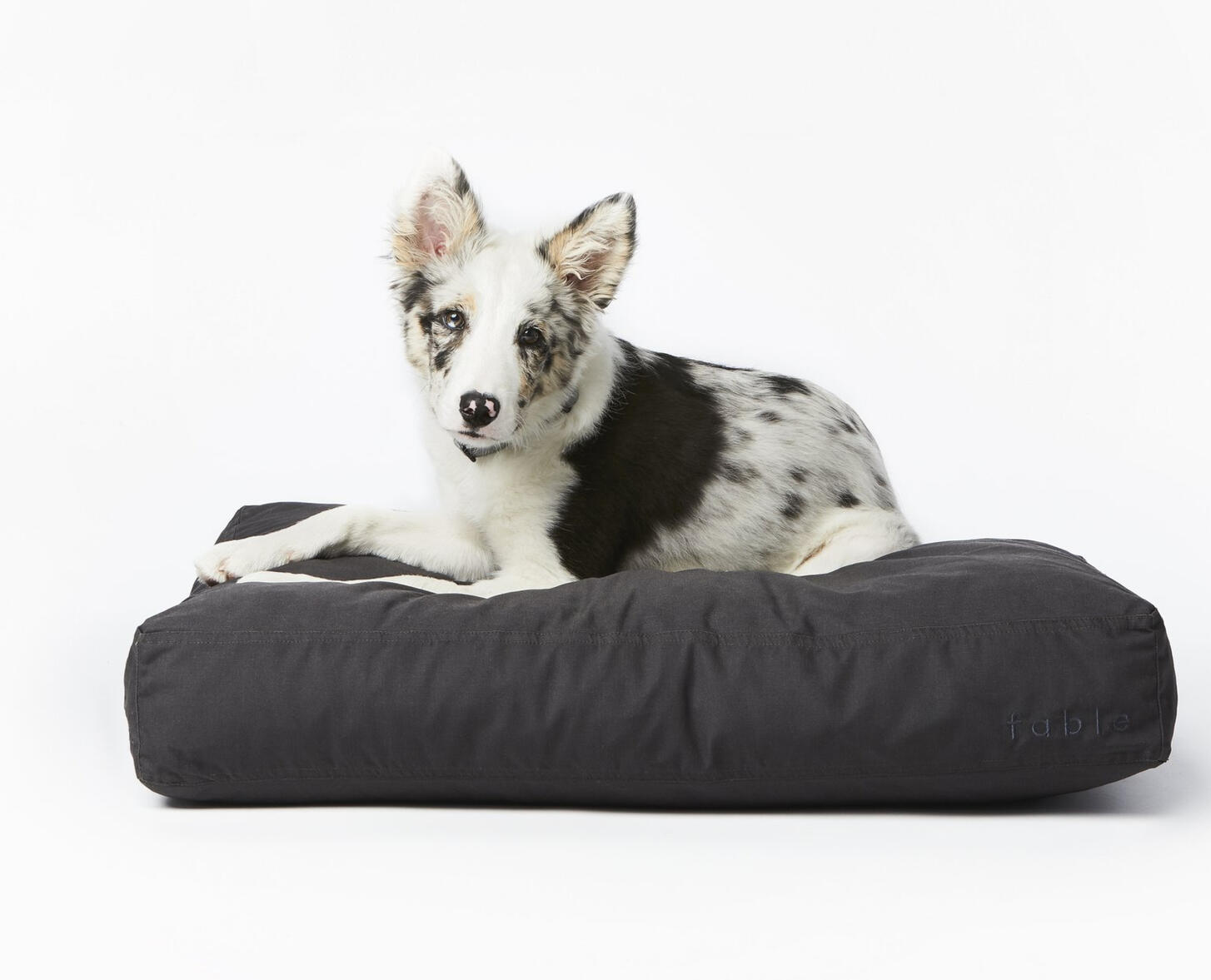 Crushed Memory Foam Dog Bed