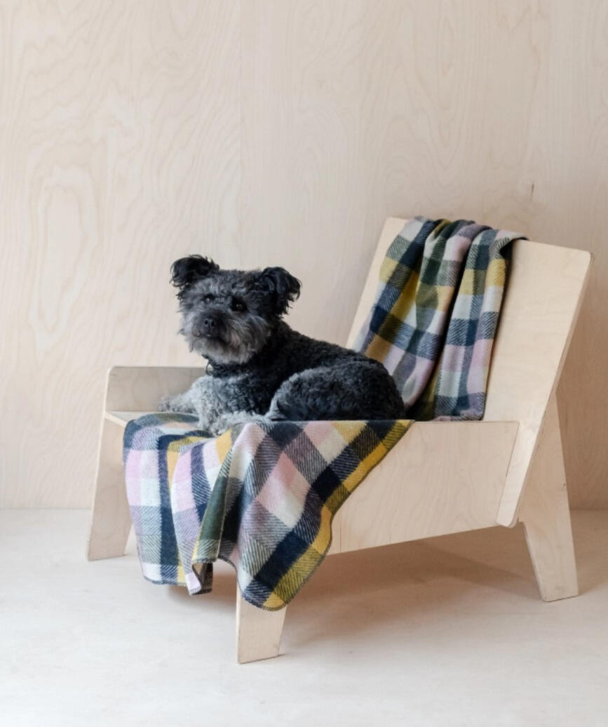 The Tartan Blanket Co. - Recycled Wool Large Pet Blanket in Willow Herringbone Check