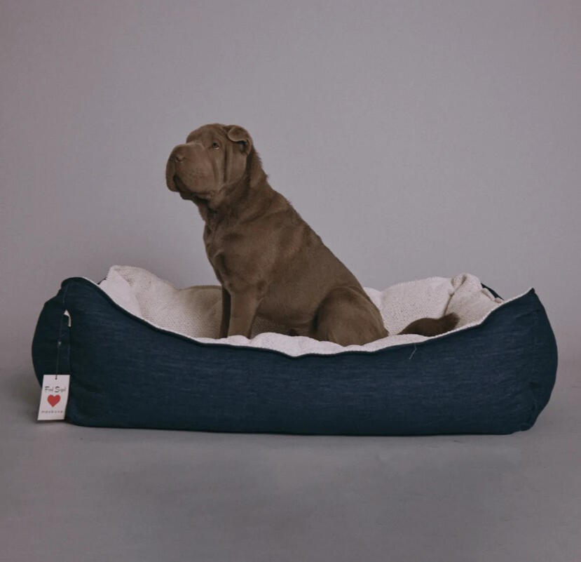 Maxbone - Fred Segal x Maxbone Bed