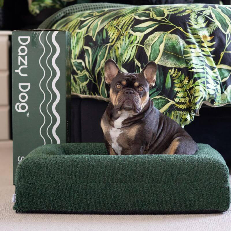 Dazy Dog - Luxury Boucle Dog Bed