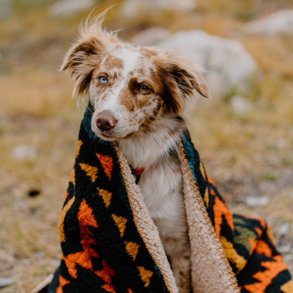 WilderDog Sherpa Fleece Blanket
