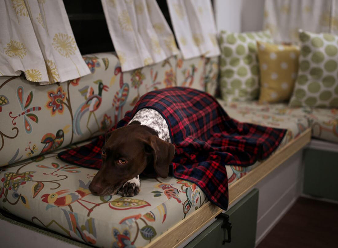 Charlie&#39;s Backyard Camp Blanket