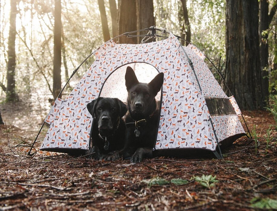 P.L.A.Y.&#39;s Out and About Outdoor Dog Tent